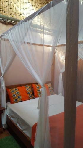 Hostal Barefoot In Barra