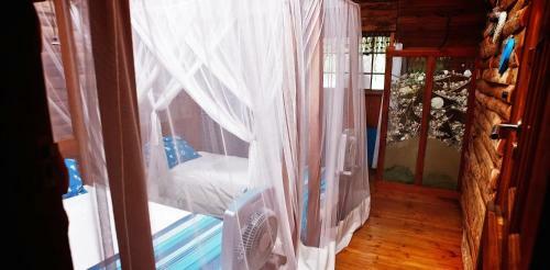 Hostal Barefoot In Barra