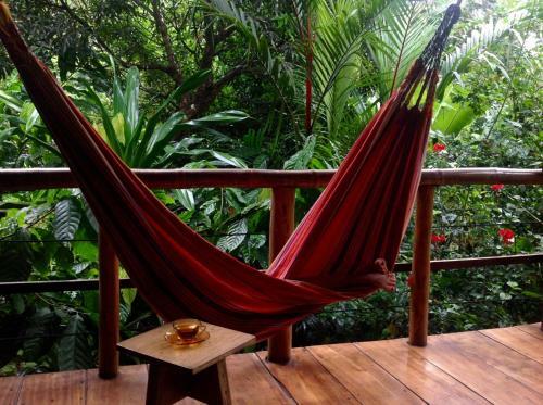 Posada La Loma Jungle Lodge And Chocolate Farm