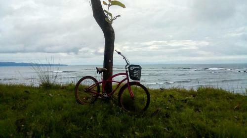 Oceans Hostal