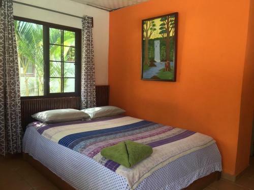 Hostal Rainforest Yasmin Hostel