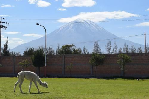 Hotel Conafovicer Arequipa