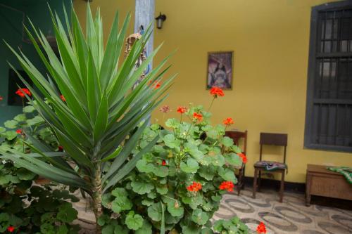 Hostal El Dorado