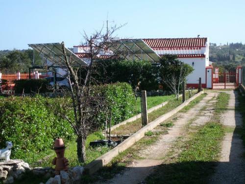 Moradia Perto Dos Palmares
