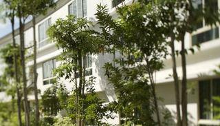Hotel Amara Sanctuary Resort