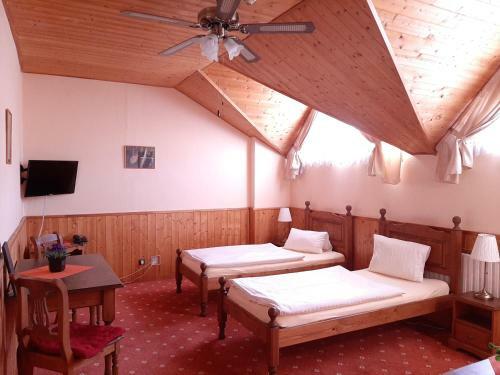 Garni Hotel Asas***