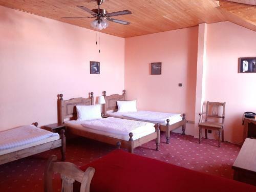 Garni Hotel Asas***
