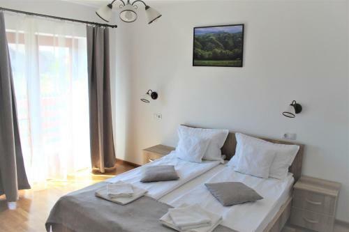 Hostal Pensiunea Nobila