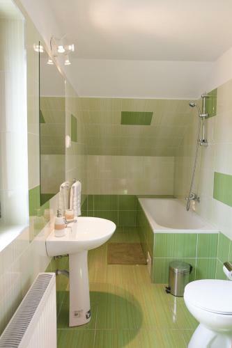 Hostal Pensiunea Nobila
