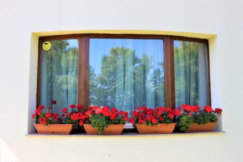 Hostal Pensiunea Nobila