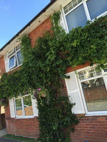 Bed & Breakfast Durlston House
