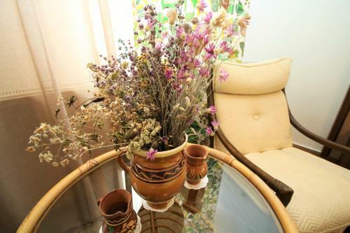 Hostal Mai Danube