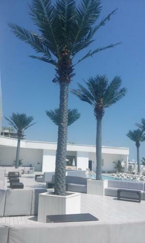 Apartamento Felicia Resort
