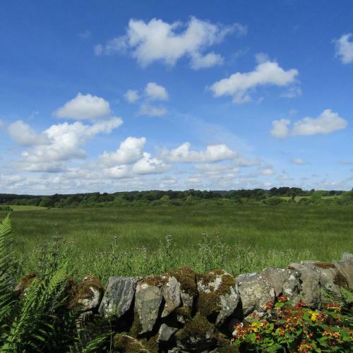 Barnkirk Holidays