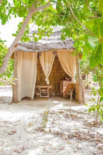 Le Bonobo Lodge
