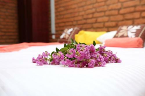 Hotel Viverra