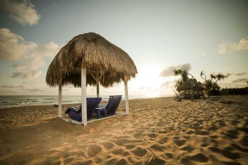 Bed & Breakfast Amanta Beach