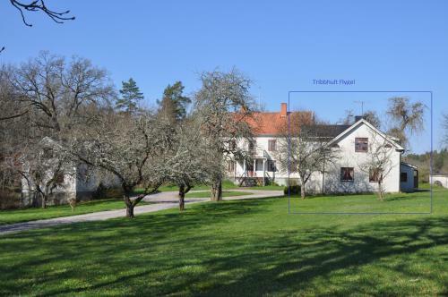 Tribbhult