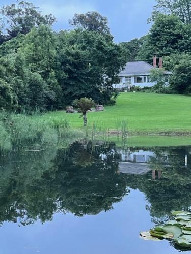 Hostal Westfield Farm