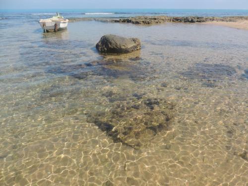 Hostal La Marsa Guest House
