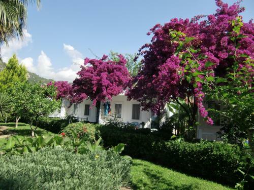 Blue & White Hotel