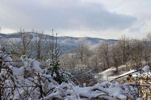 Agroturismo Country House Kosiv