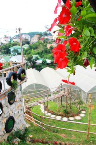 Hobbit Village Da Lat