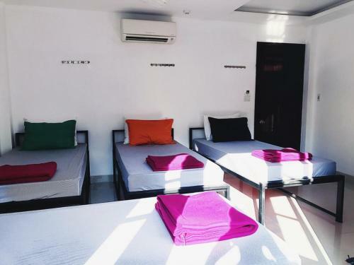Albergue Tribee Kinh
