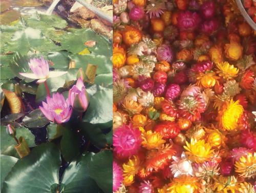 Coffee Valley Homestay