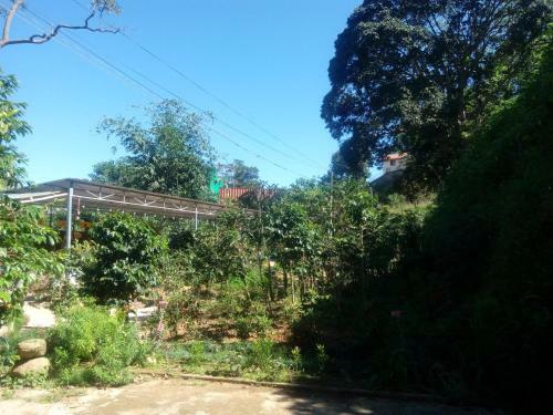 Coffee Valley Homestay
