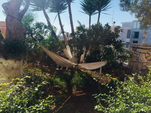 Apartments On The Beach