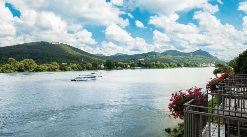 Ringhotel Rheinhotel Dreesen