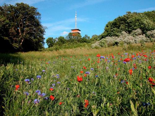 Bed & Breakfast Haus M�nchgut