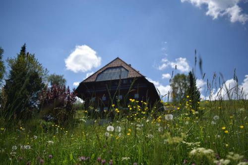 Apartamento Haus Winterberg