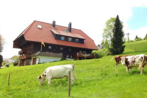 Apartamento Haus Winterberg