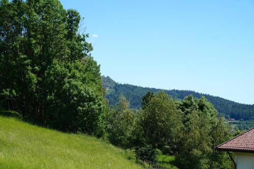 Hostal Pension Zur Klause