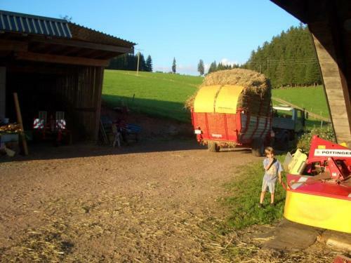 Apartamento Willmannshof