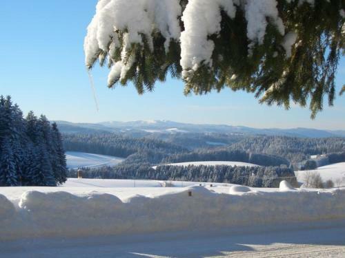 Apartamento Willmannshof