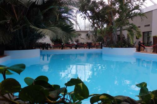 Tropical Hotel