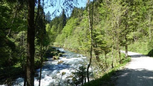 Apartamentos Fw Weissensee