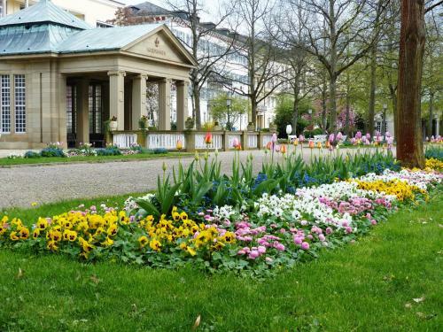 Hotel Bayerischer Hof- D�sch