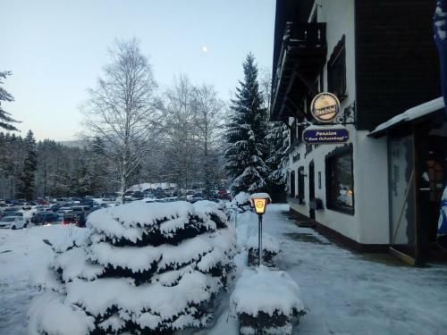 Hotel-pension "zum Ochsenkopf"