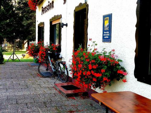Hotel-pension "zum Ochsenkopf"