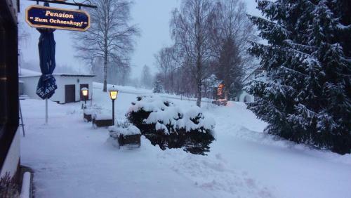 Hotel-pension "zum Ochsenkopf"