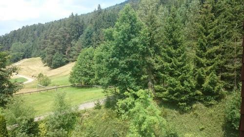 Apartamentos Waldblick