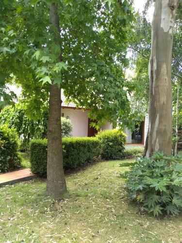 Casa En El Bosque