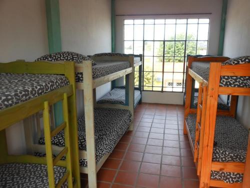 Hostal Hostel Buddha