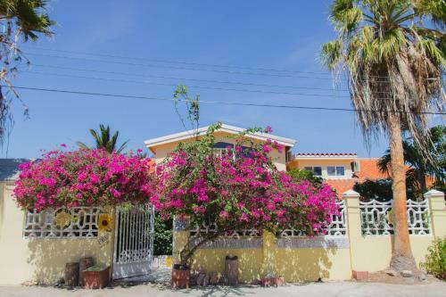 Apartamento Sunflower Villa Studios