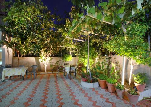 Oasis Green Apartment