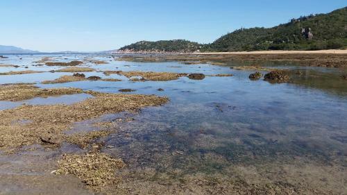 Shambhala Retreat Magnetic Island Cottages